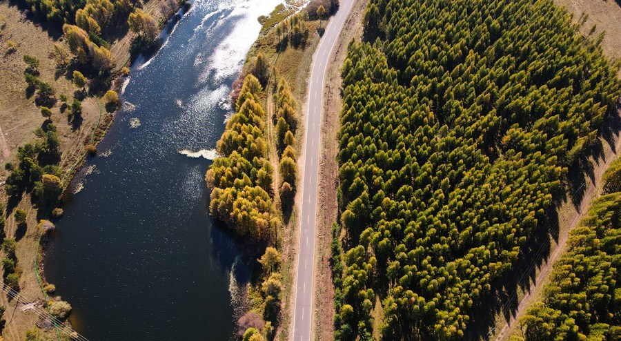 Aerial photo shows the autumn scenery of Saihanba forest farm in north China's Hebei Province, September 23, 2021. /Xinhua