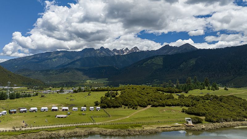 Live: Enjoy the diverse natural scenery in Lulang Town