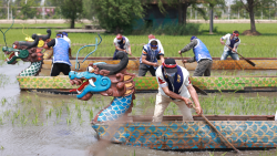 The 11th Capital University Dragon Boat Race takes place - CGTN