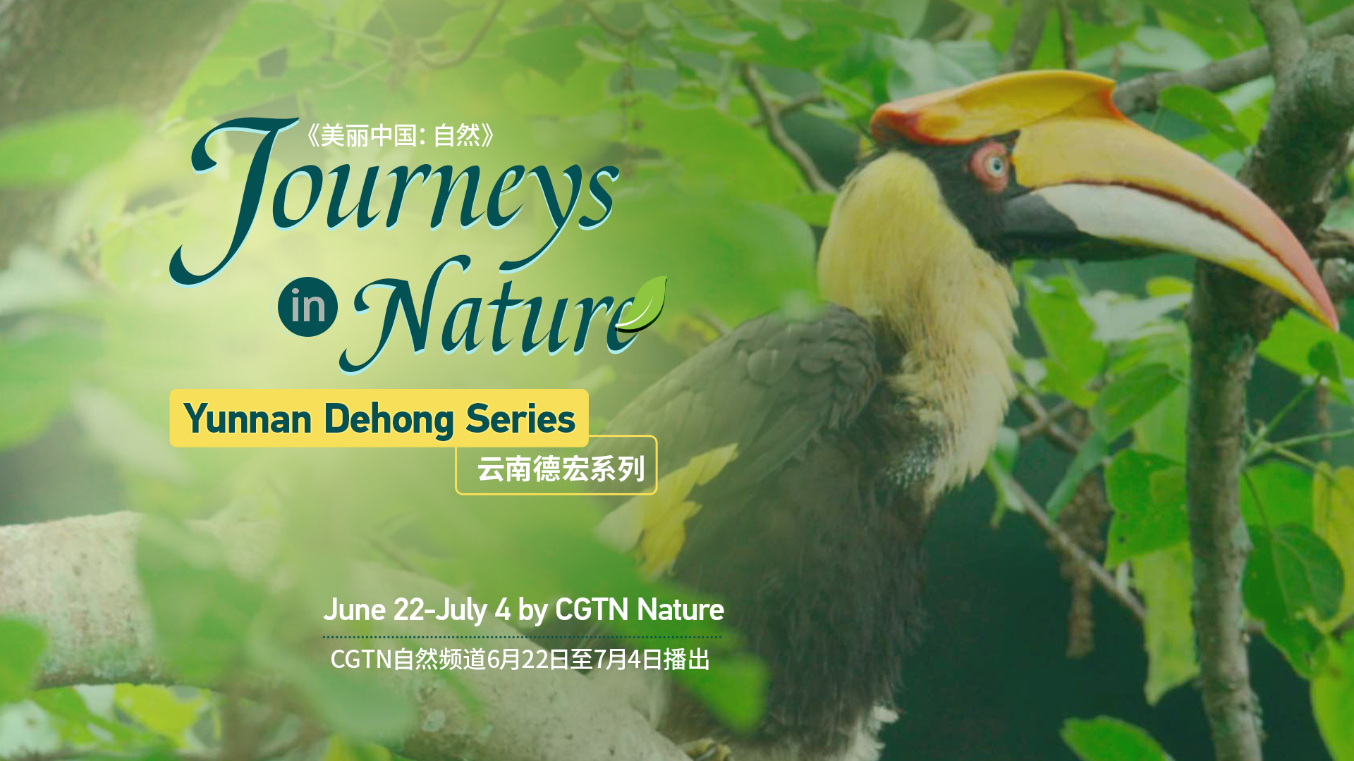 Yunnan Dehong Series is coming June 22