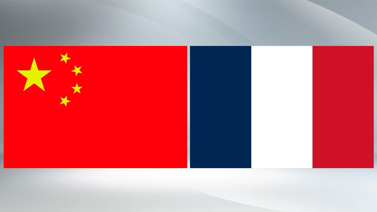 Li Qiang puts forward 3-point proposal on China-France cooperation - CGTN