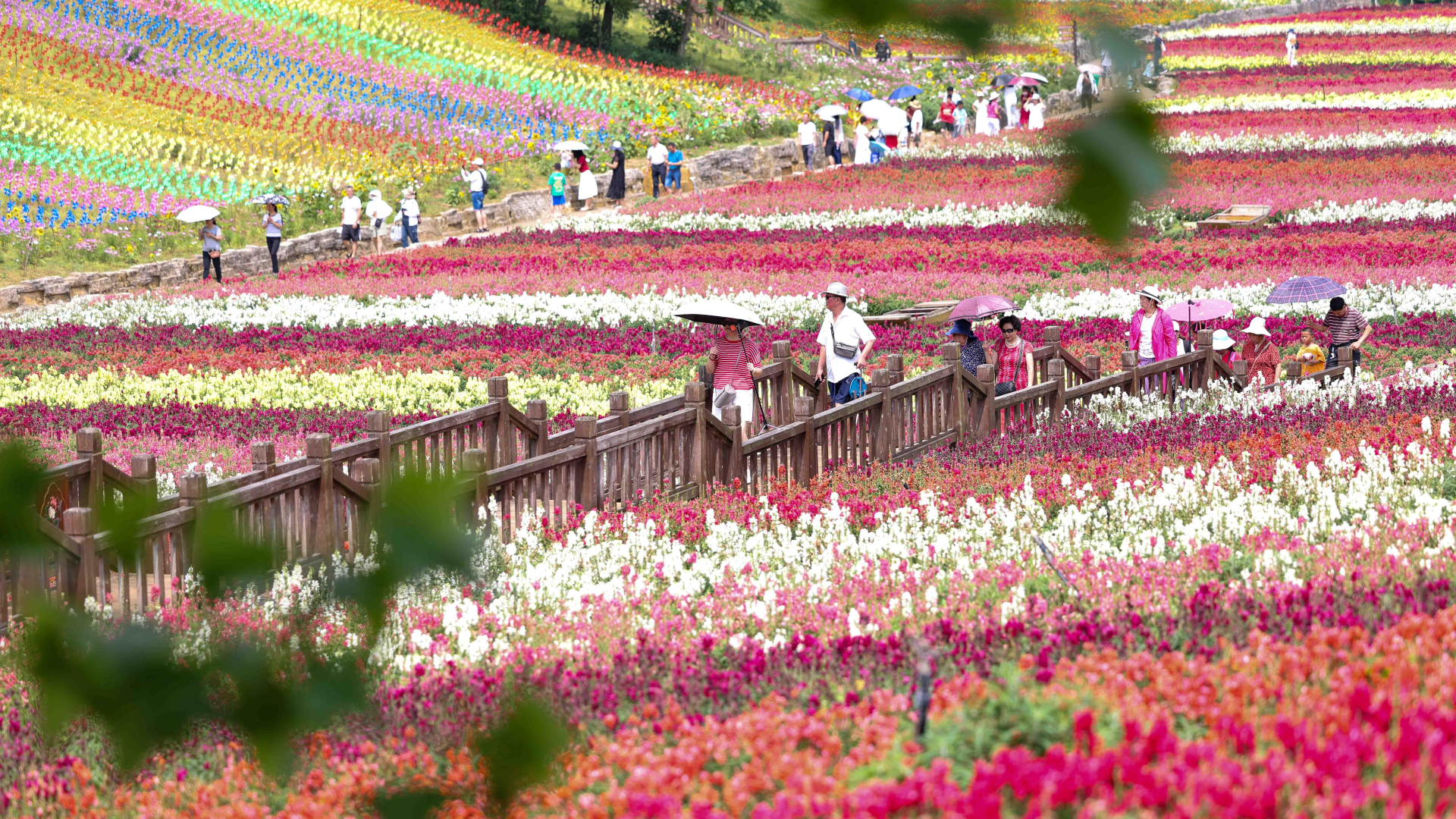 f702411e9c46404b9b4e9c35acc60a