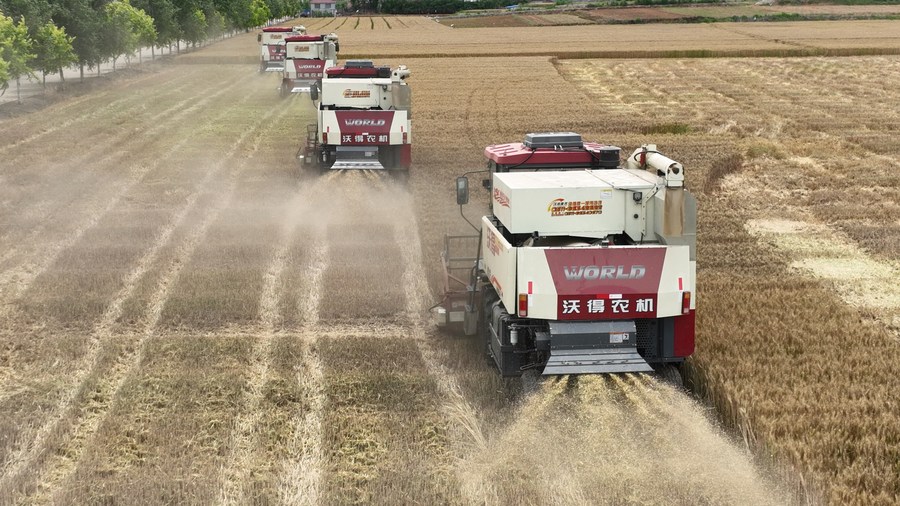 Des machines agricoles récoltent du blé dans le comté de Ningyang de la ville de Taian, dans la province du Shandong (est de la Chine), le 2 juin 2023. /Xinhua