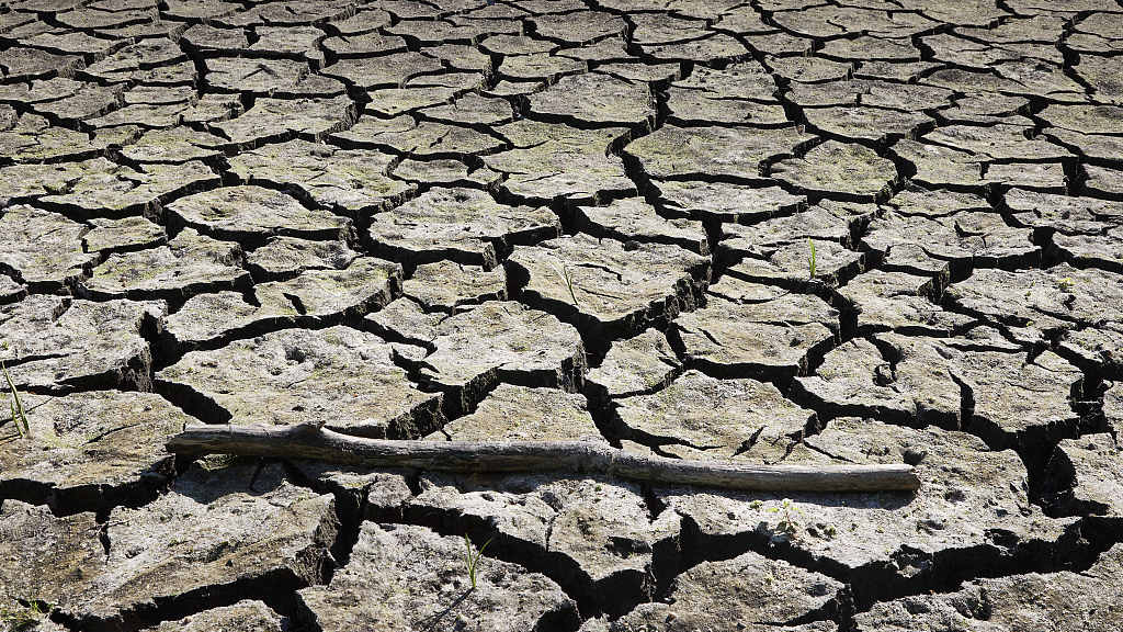 View of the dried-up Lottbek pond in the municipality of Ammersbek, Schleswig-Holstein, Germany, June 13, 2023. /CFP