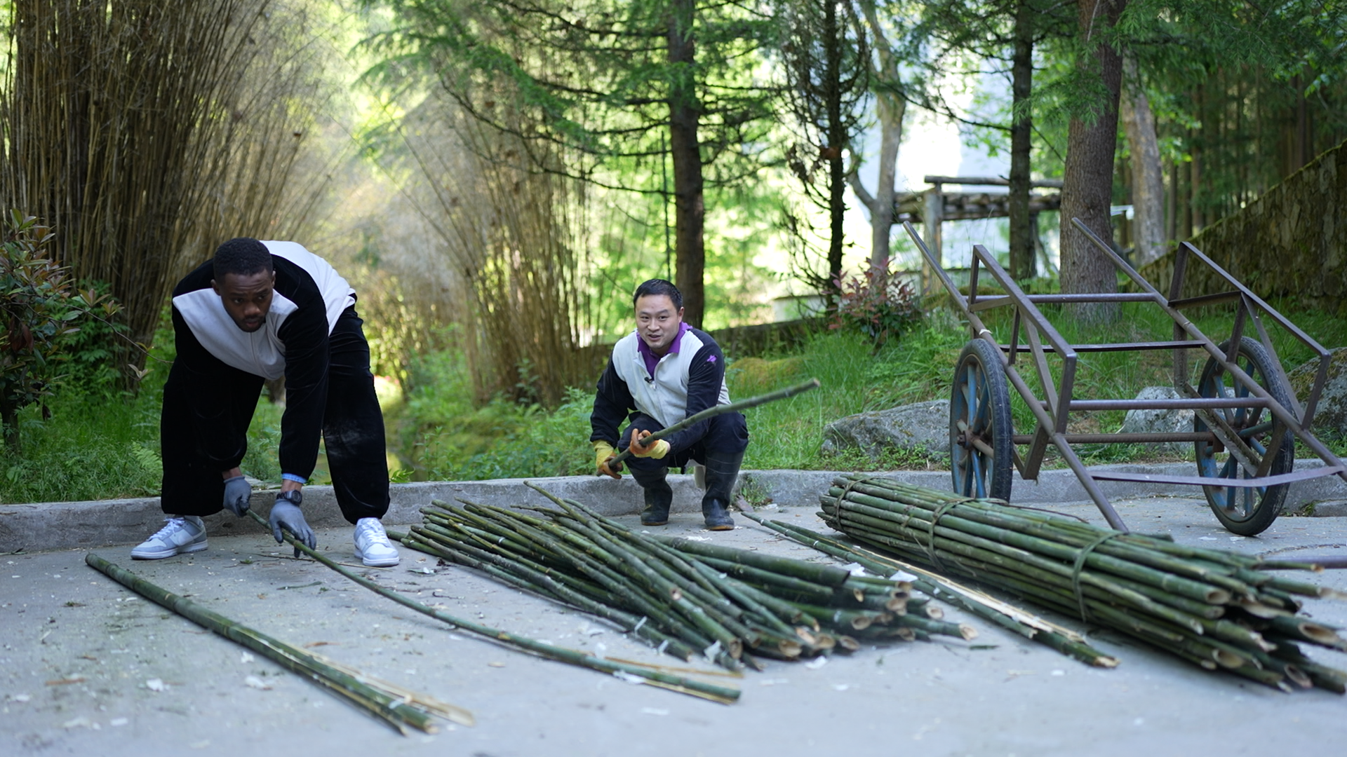 Michael Harford (L), who is from Nigeria, learns to prepare bamboos for the giant pandas at the China Conservation and Research Center for Giant Panda in southwest China's Sichuan Province. /CMG