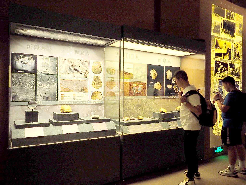 Exhibits are displayed at the National Museum of China in Beijing on June 22, 2023. /CFP