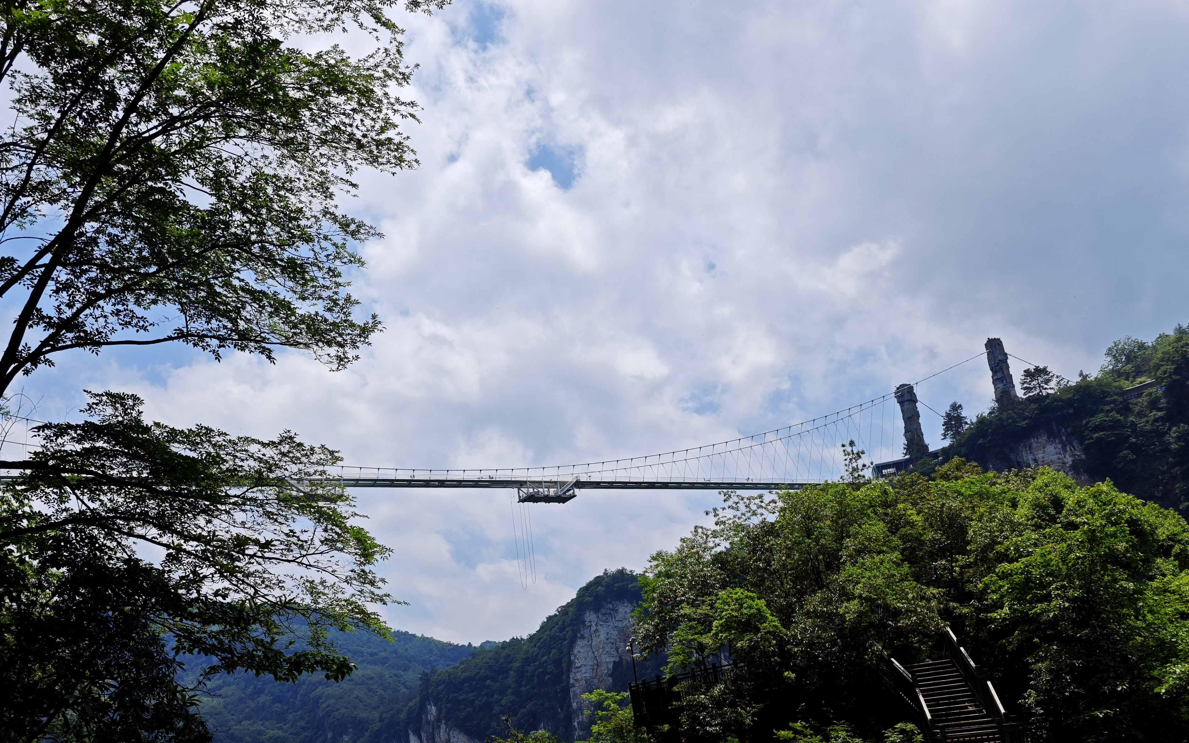The glass bridge spans the canyon between two mountain cliffs at the Zhangjiajie National Forest Park, Zhangjiajie, Hunan Province. /CNSPHOTO