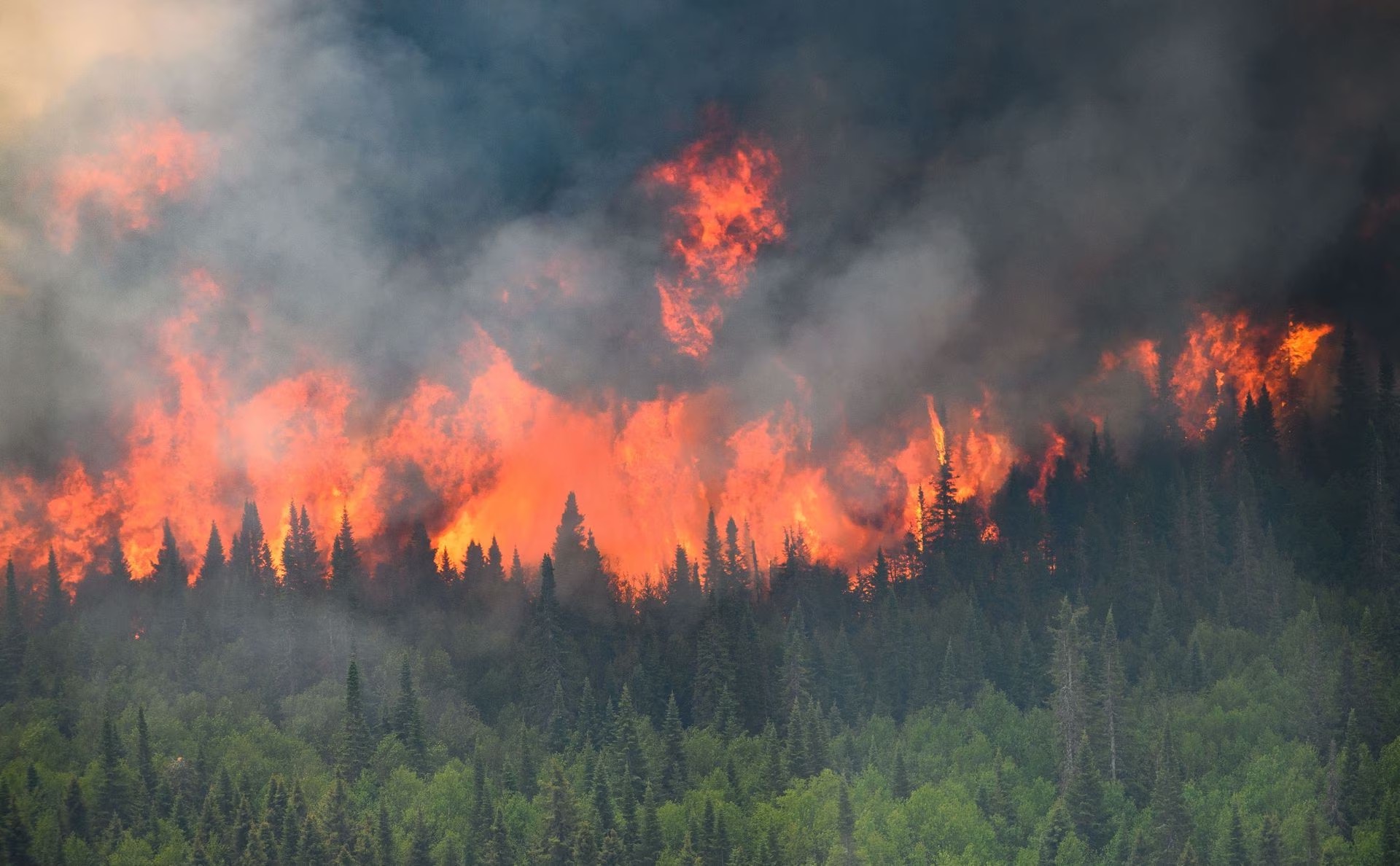 Flames reach upwards along the edge of a wildfire as seen from a Canadian Forces helicopter surveying the area near Mistissini, Quebec, Canada, June 12, 2023. /Reuters