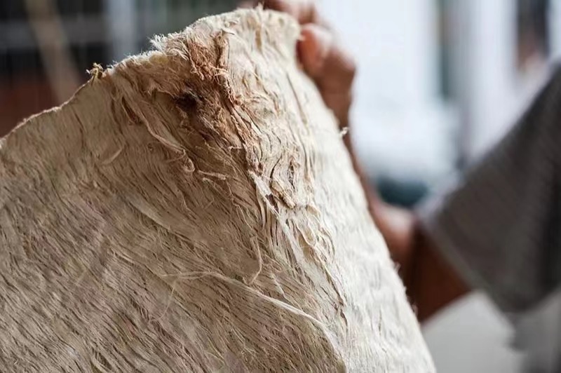 A photo shows a close-up detail of the tree bark. /Photo provided to CGTN