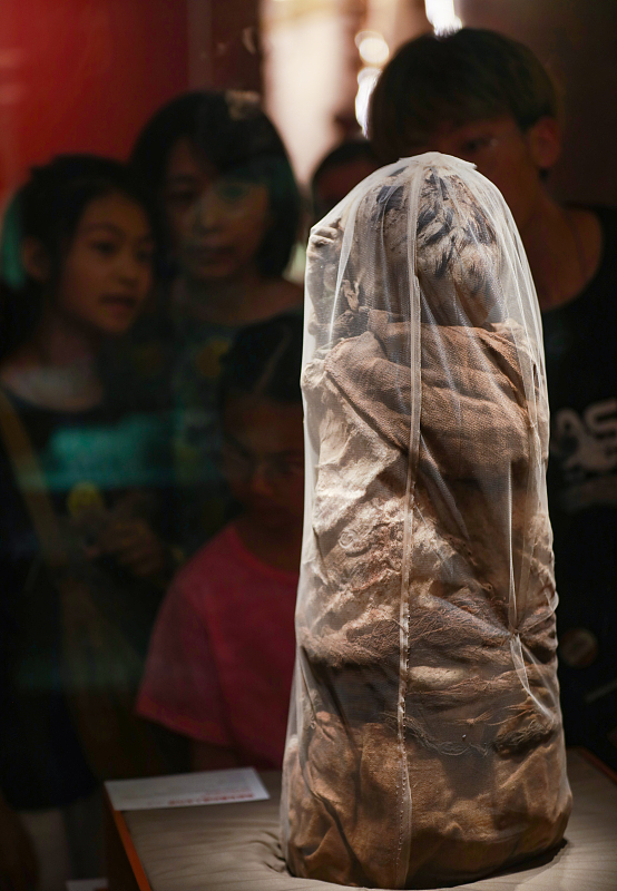 Visitors appreciate a mummy from Peru at the Shaanxi History Museum in Xi'an, Shaanxi Province, June 27, 2023. /CFP