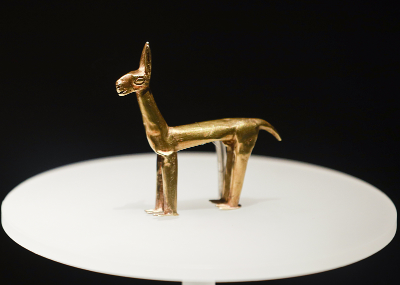 A golden llama sculpture from Peru is displayed at the Shaanxi History Museum in Xi'an, Shaanxi Province, June 27, 2023. /CFP