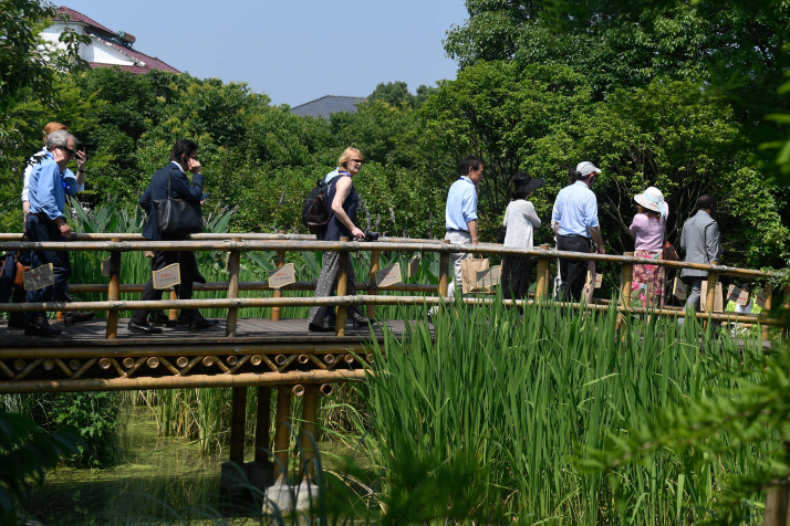 Visitors tour Dazhuyuan Village in Anji County, Zhejiang Province, June 4, 2019. /Xinhua