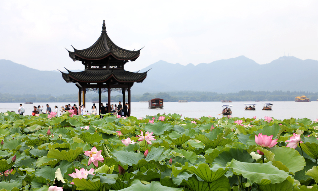 This photo taken on July 1, 2023, shows lotus flowers at the West Lake of Hangzhou in full bloom. /CFP