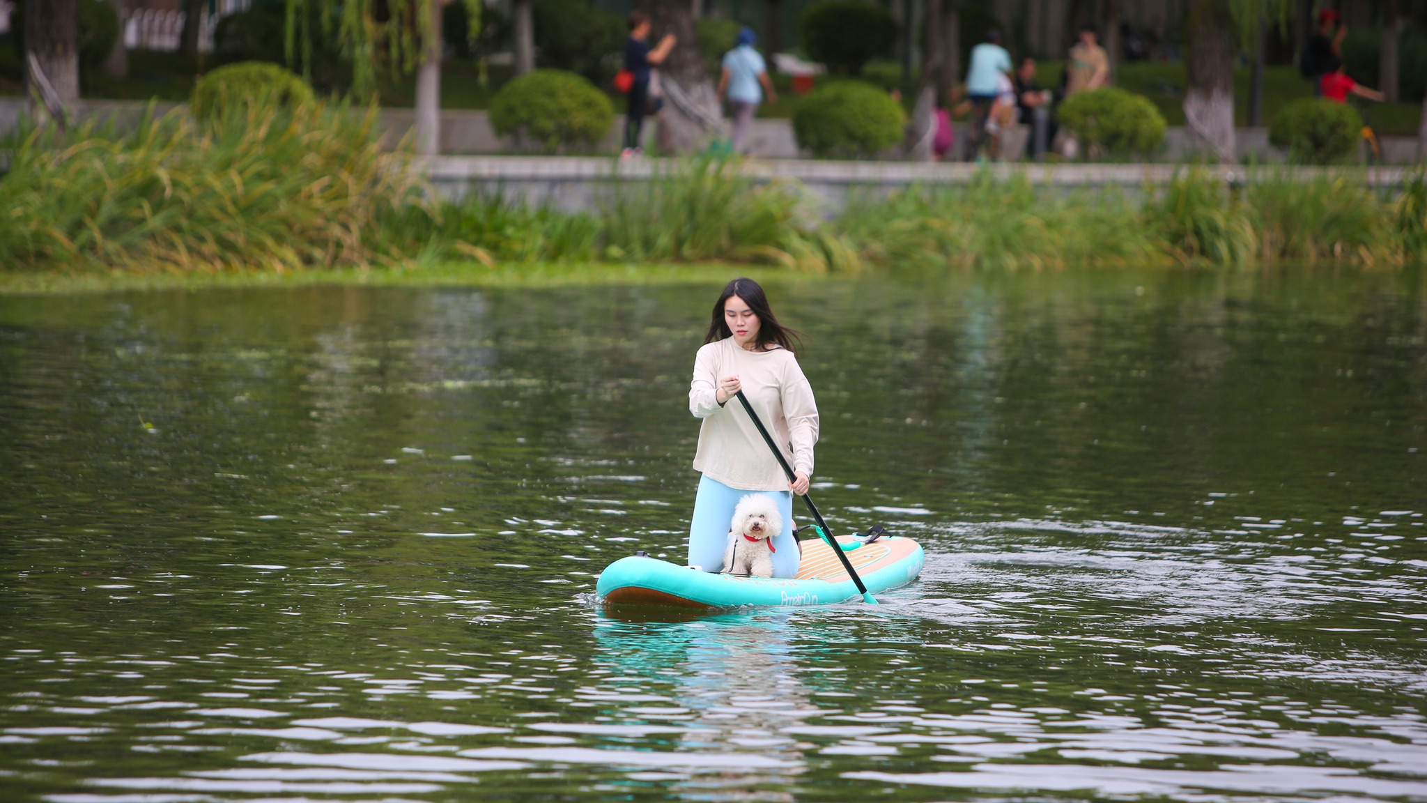 Paddleboarding gains popularity in Beijing