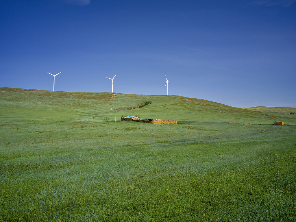 Wind turbines stand tall on the vast grasslands of Hulun Buir in north China's Inner Mongolia Autonomous Region, June 26, 2023. /CFP