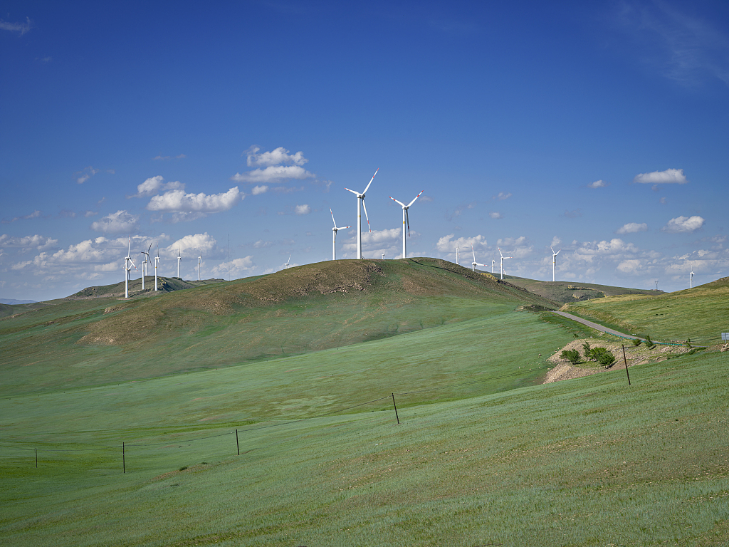 Wind turbines stand tall on the vast grasslands of Hulun Buir in north China's Inner Mongolia Autonomous Region, June 26, 2023. /CFP