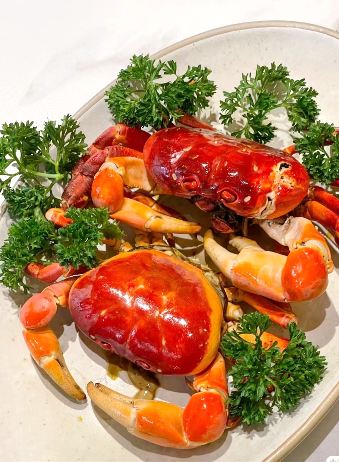 The brown crab is named after its bread-like appearance and is known for its large size, creamy texture and fresh succulent taste. /Photo provided to CGTN