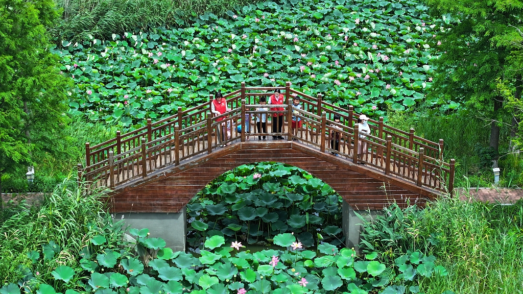 Photo taken on July 6, 2023 shows the picturesque countryside of Lianyungang, Jiangsu Province. /CFP 