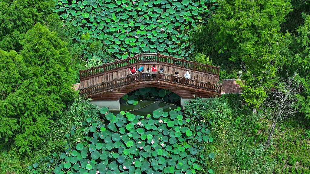 Photo taken on July 6, 2023 shows the picturesque countryside of Lianyungang, Jiangsu Province. /CFP 