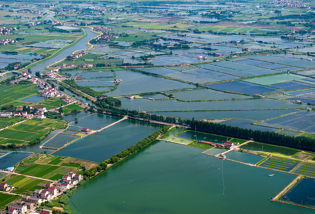 A bird's-eye view of crop fields divided by waters at the Jianchangwei water conservancy project in Changzhou, Jiangsu, July 6, 2023 /CFP