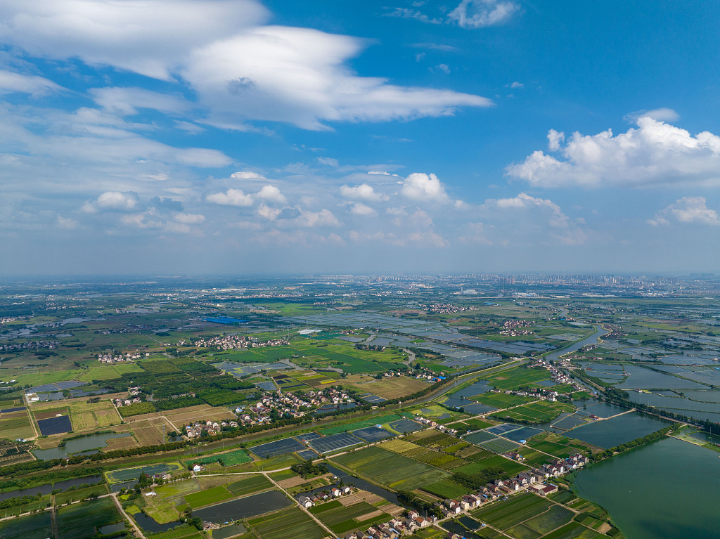 A bird's-eye view of crop fields divided by waters at the Jianchangwei water conservancy project in Changzhou, Jiangsu, July 6, 2023 /CFP
