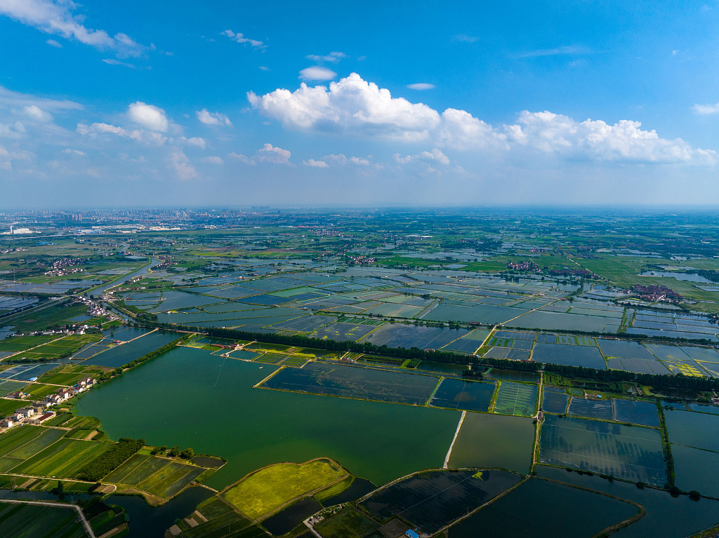 A bird's-eye view of crop fields divided by waters at the Jianchangwei water conservancy project in Changzhou, Jiangsu, July 6, 2023 /CFP