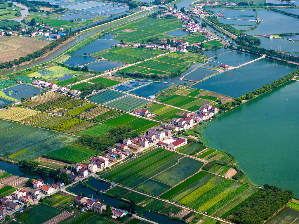 A bird's-eye view of crop fields divided by waters at the Jianchangwei water conservancy project in Changzhou, Jiangsu, July 6, 2023 /CFP