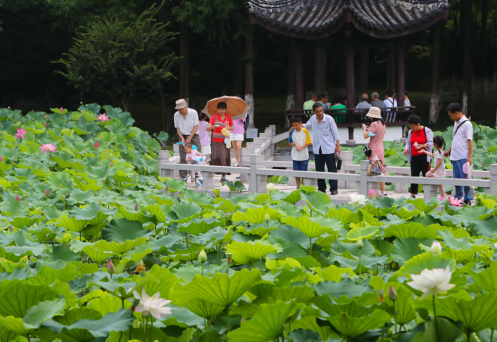 Tourists enjoy a view of blooming lotus and water lilies at Kunshanting Park in Suzhou, Jiangsu, July 6, 2023. /CFP
