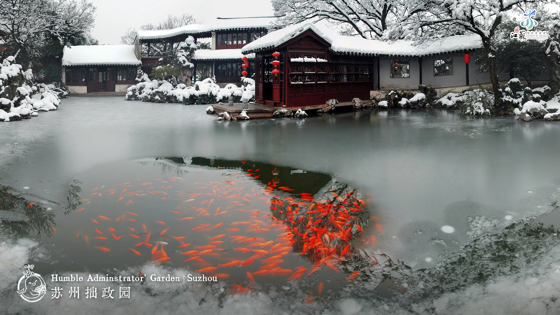 Winter scenery of the Humble Administrator's Garden in Suzhou, east China's Jiangsu Province /Photo provided to CGTN