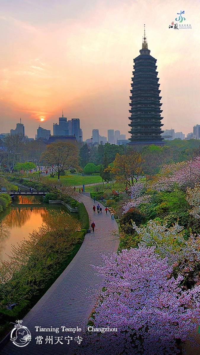 This undated photo shows Tianning Temple in Changzhou, Jiangsu Province. /Photo provided to CGTN