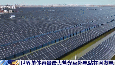 The Huadian Tianjin Haijing photovoltaic power station in Tianjin. /China Media Group