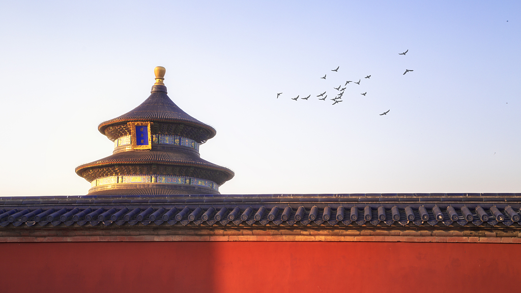 A flock of Beijing swifts fly across the Temple of Heaven in Beijing, China. /VCG