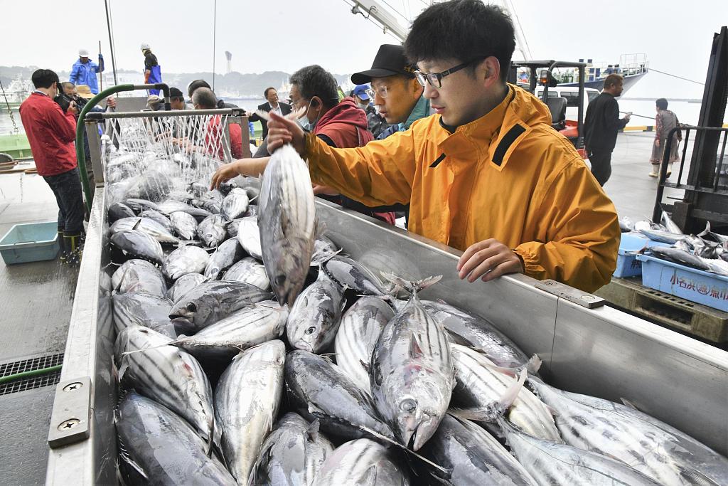 The season's first catch of bonito is landed at Onahama port in Fukushima Prefecture, northeastern Japan, May 29, 2023. /CFP
