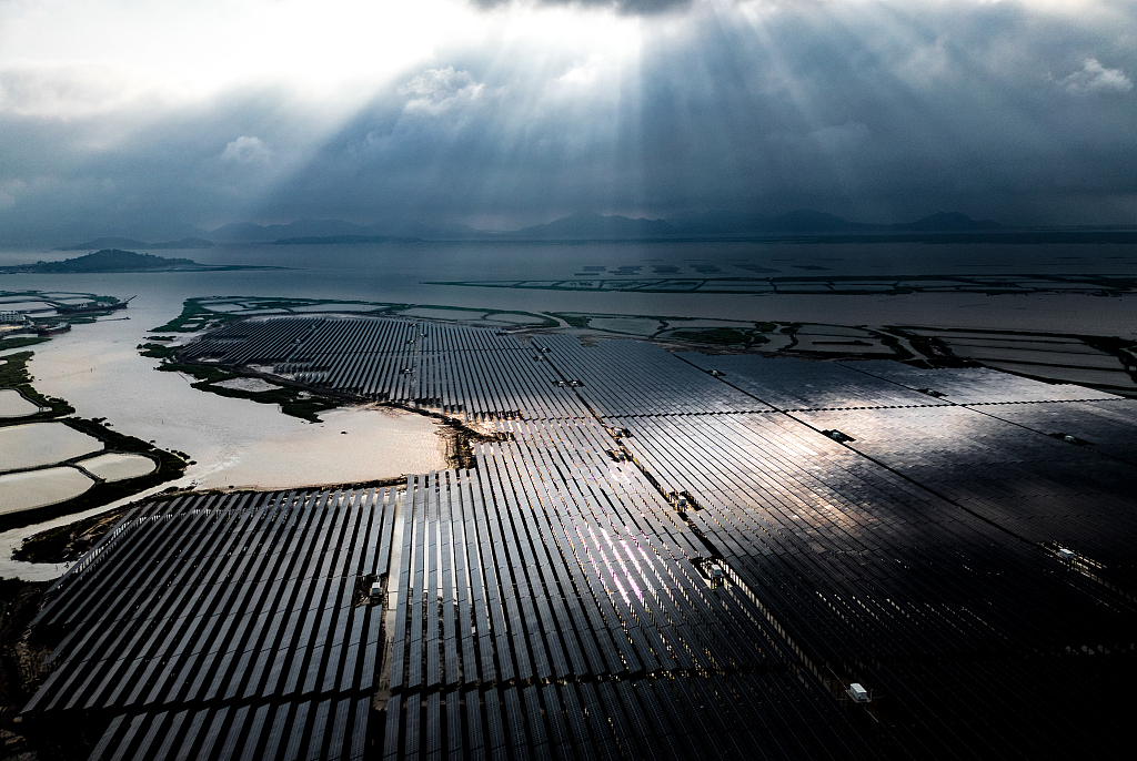 More than 240,000 photovoltaic panels shine brightly under the sunlight on the 1,800-acre tidal flat intertidal zone near Qinggang Town in Yuhuan City, Zhejiang Province, China, July 10, 2023. /VCG