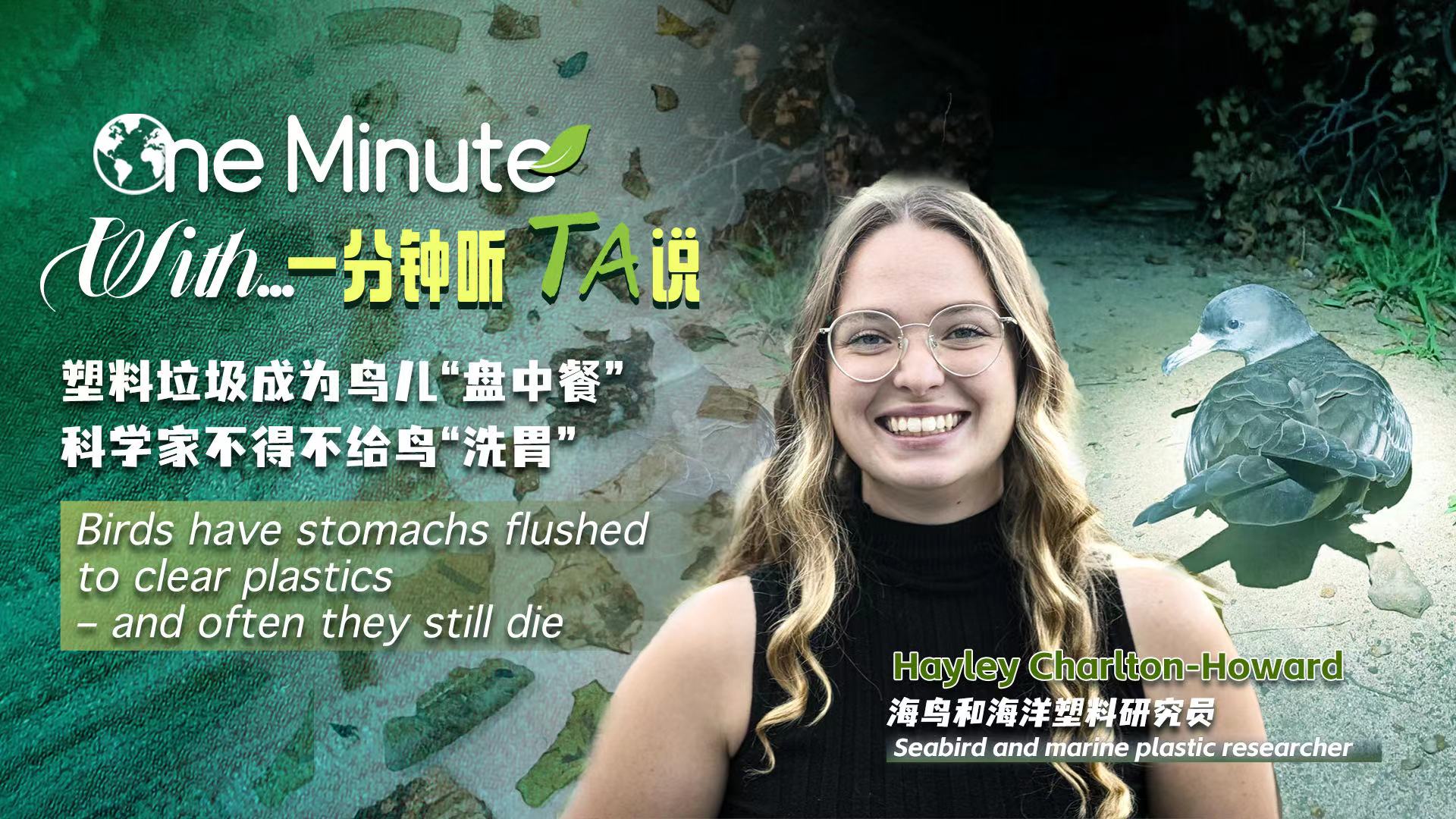 Birds have stomachs flushed to clear plastics – and often they still die