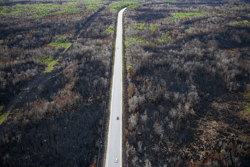 此图显示了 2023 年 6 月 22 日加拿大谢尔本地区 103 号高速公路两侧森林火灾的遗迹。/法新社