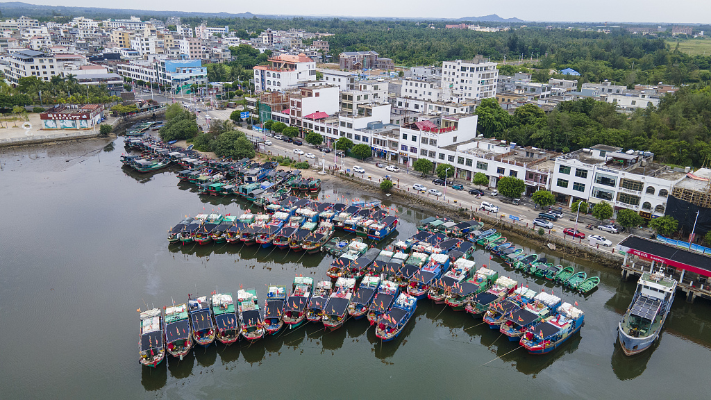 Ships are ported in Tanmen Port as typhoon Talim approaches, Qionghai City, south China's Hainan Province, July 16, 2023. /CFP