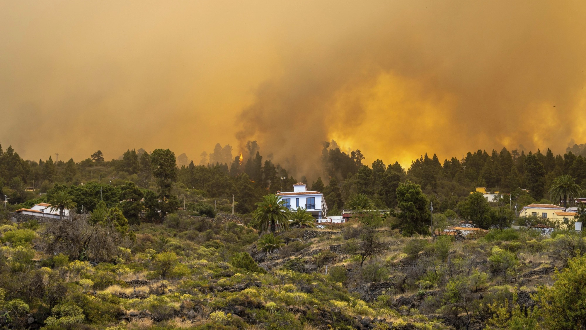 A view of a burning forest fire close to homes, near Puntagorda on the Canary lsland of La Palma, Spain, July 15, 2023. /CFP