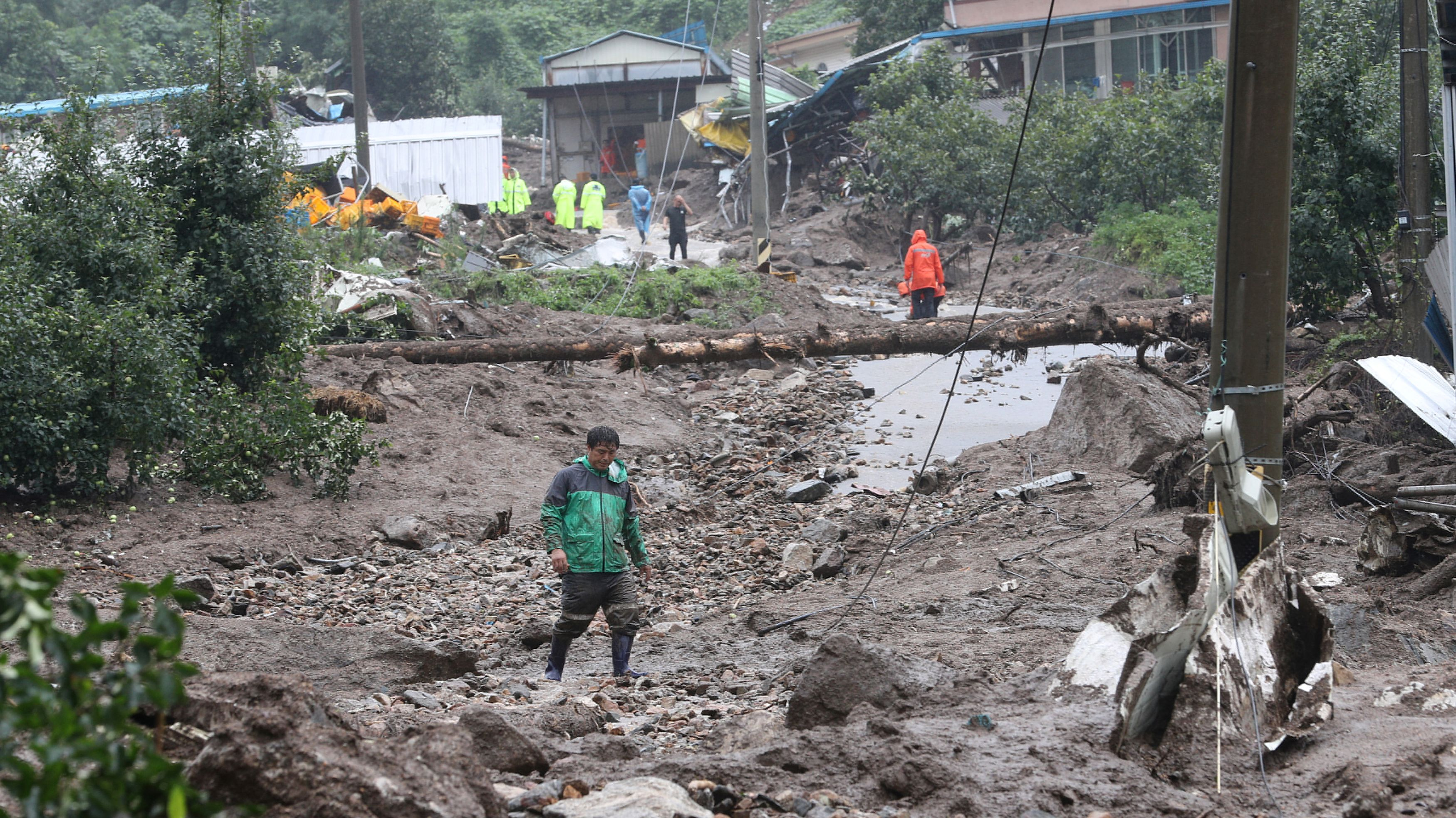 People take part in a search and rescue operation at a landslide caused by torrential rain in Yecheon, South Korea, July 15, 2023. /Reuters