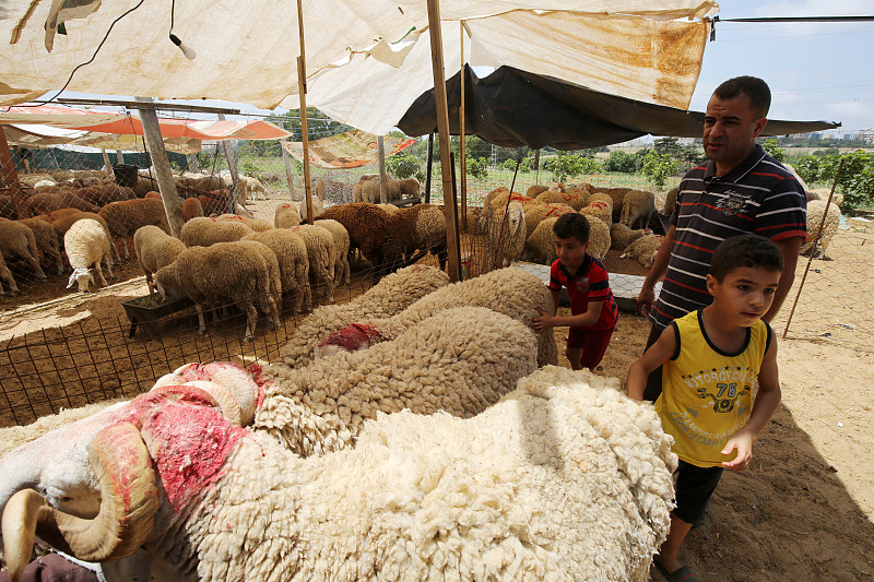 People visit a local sheep market in Algeria. /CFP