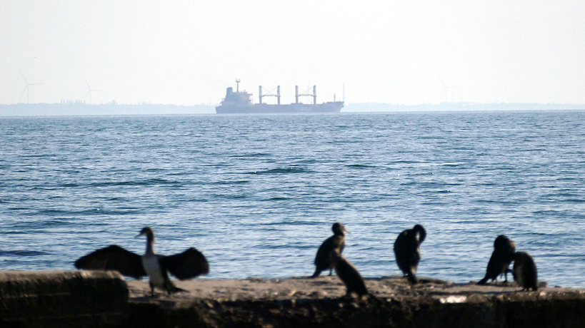 2023 年 7 月 16 日，土耳其散货船 TQ SAMSUN 装载着黑海谷物交易中的乌克兰农产品，离开敖德萨港。/CFP