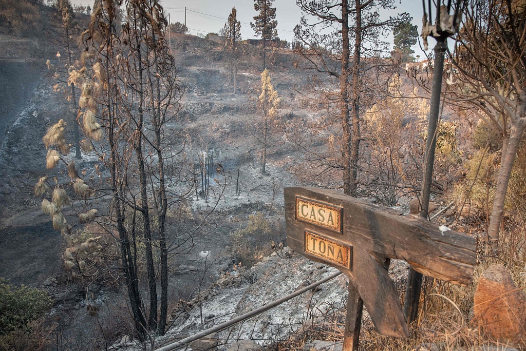 An area burnt down by a wildfire that started at dawn on July 15 in the municipality of Puntagorda on the Canary Island of La Palma, Spain, on July 17, 2023. /CFP