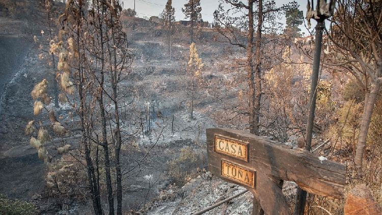 Spain in grip of heat wave as Canary Island wildfire rages on - CGTN