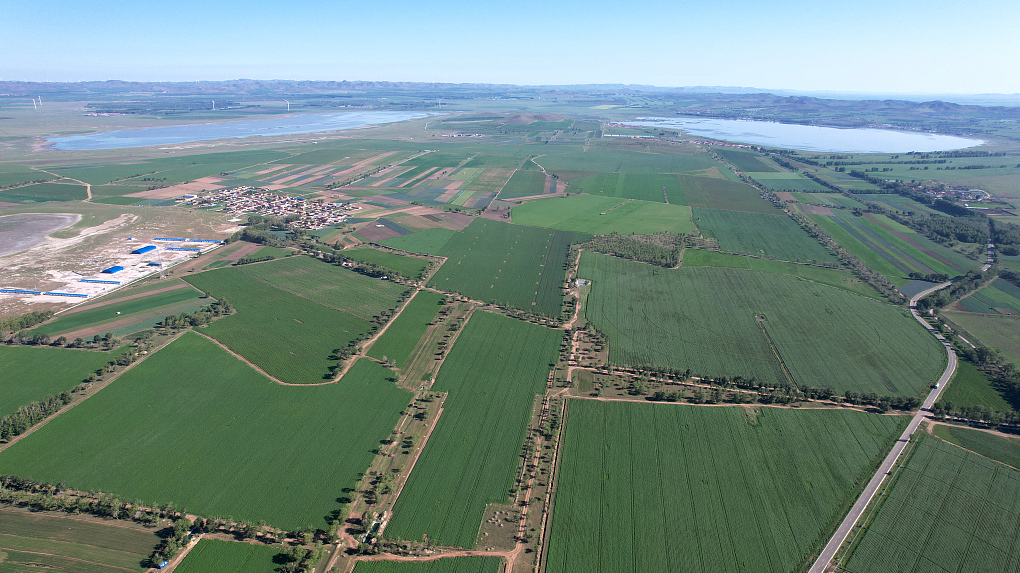 A view of farmland in Guyuan County, Zhangjiakou City, north China's Hebei Province, July 15, 2023. /CFP