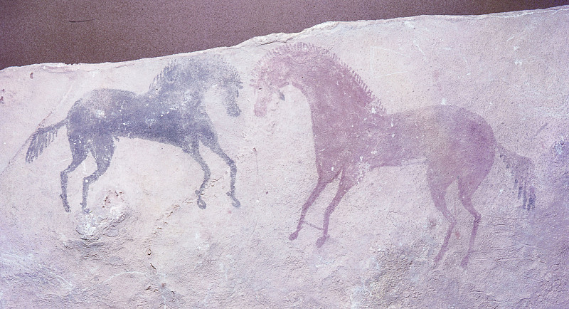 A rock painting features horses at Tassili n'Ajjer, Algeria. /CFP