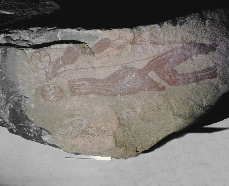 A rock painting from Tassili n'Ajjer, Algeria depicts a horse and two-wheeled chariot. /CFP