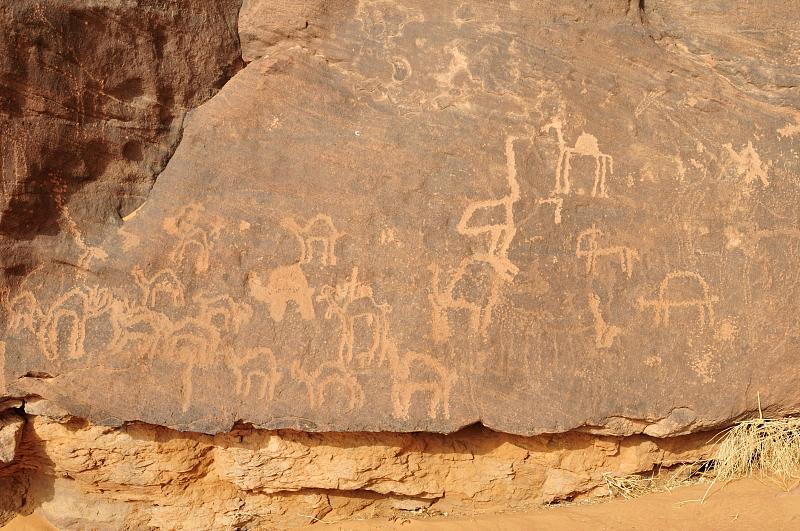 Drawings of camels are etched into a rock at Tassili n'Ajjer, Algeria. /CFP