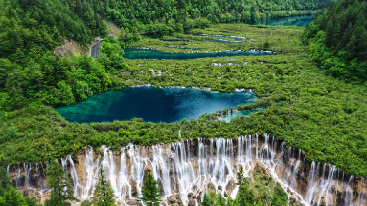 Trumpet Shell Valley Live: Shuzheng Valley in Sichuan Province's Jiuzhaigou - CGTN