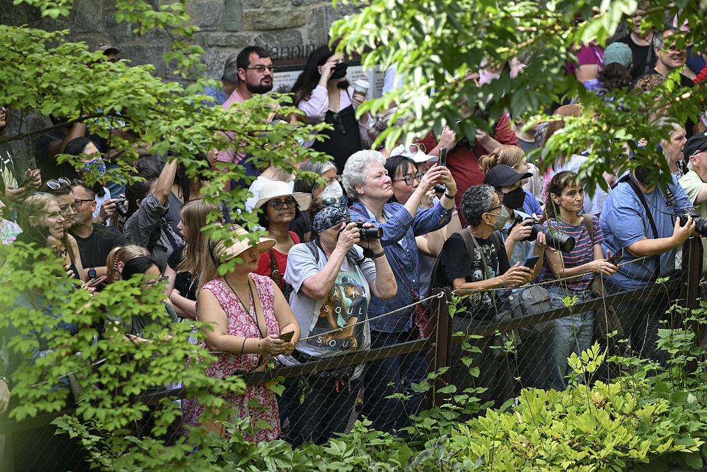 A crowd of eager fans watch as Mei Xiang enjoys her birthday festivities in Washington, D.C., United States, July 22, 2023. /CFP via Getty Images