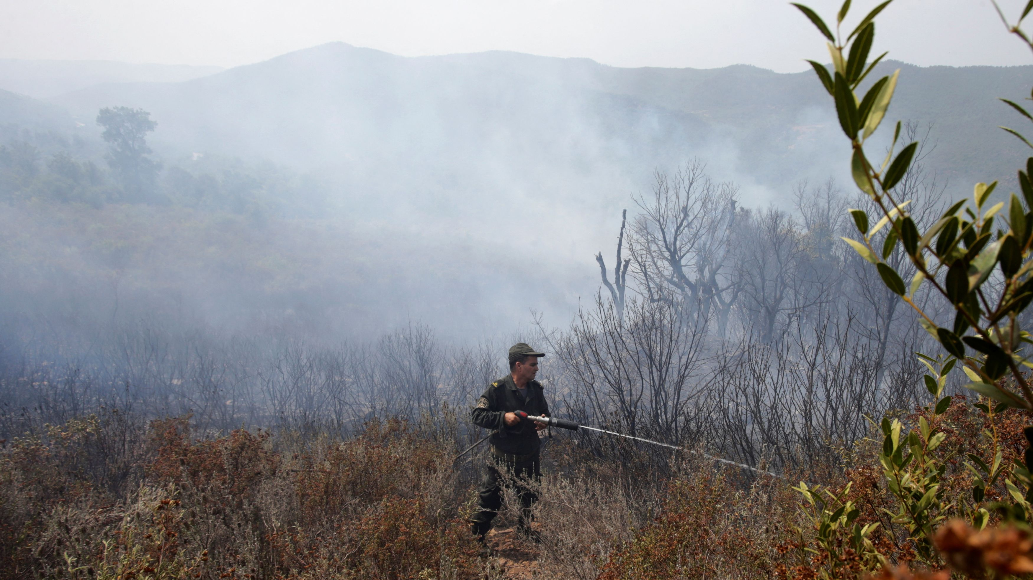 A forest ranger works to douse hotspots in an area hit by a wildfire, in Adekar, in Bejaia province, Algeria July 25, 2023. /Reuters